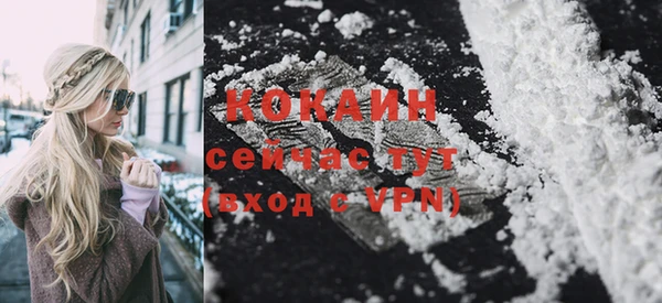 дурь Елизово